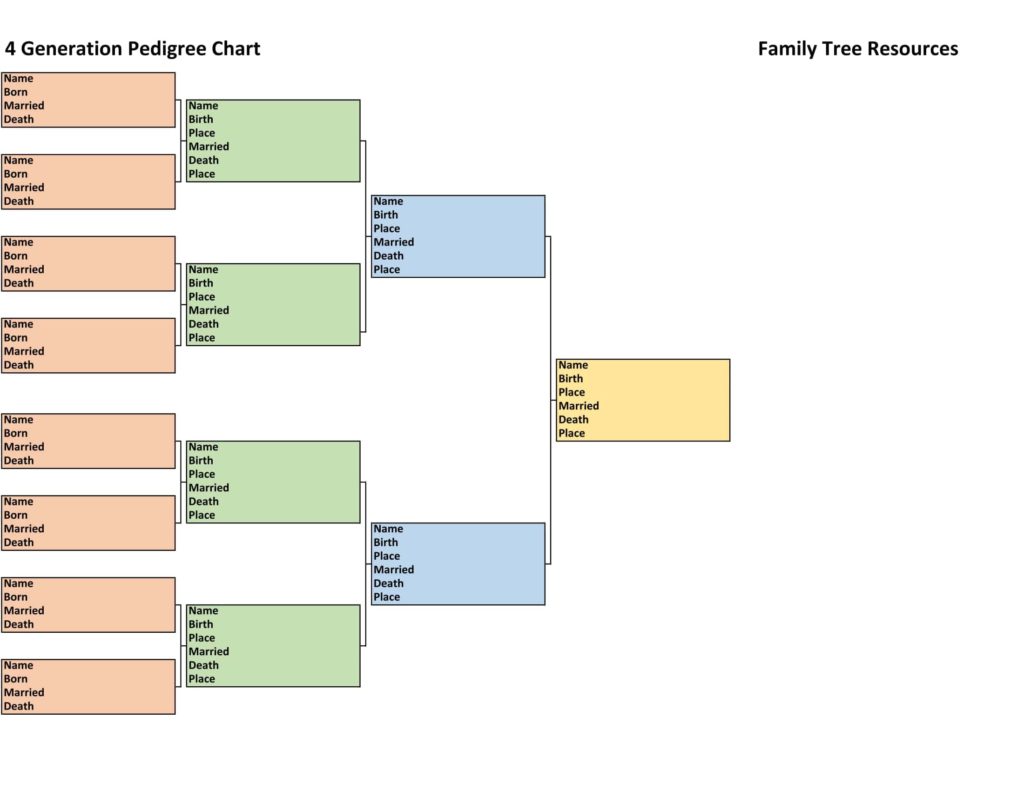 4 Generation Pedigree Chart - Left to Right