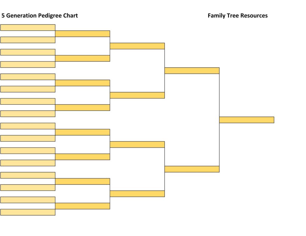 5 Generation Pedigree Chart - Left to Right