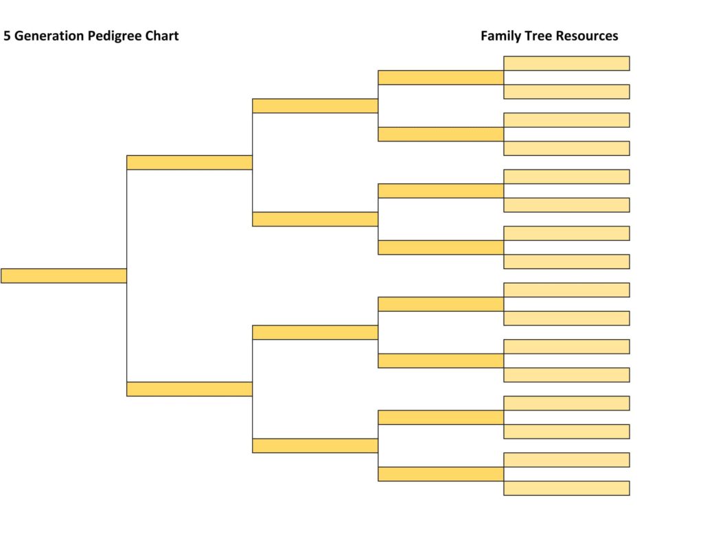 5 Generation Pedigree Chart - Right to Left