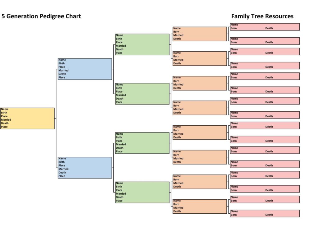 5 Generation Pedigree Chart - Right to Left