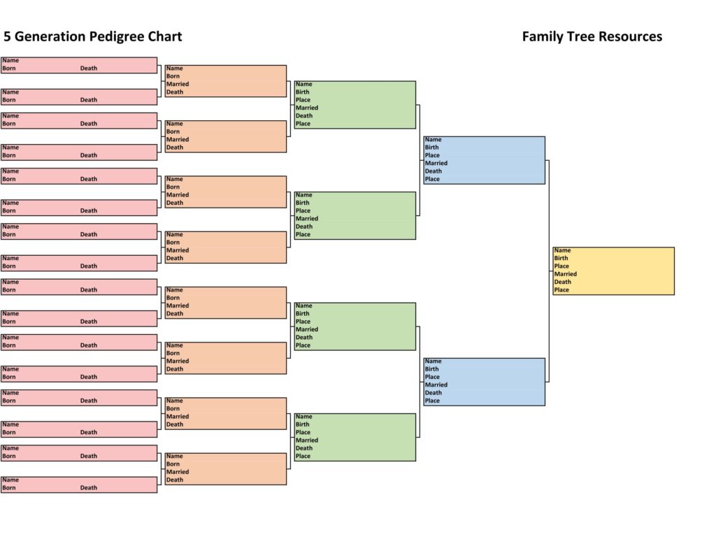 5 Generation Pedigree Chart - Left to Right